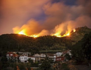 Incendios forestales